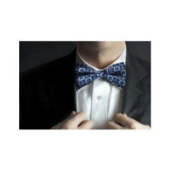 Frimurer butterfly forglem-mig-ej