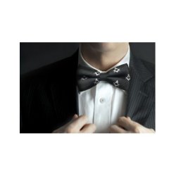 Frimurer butterfly sort