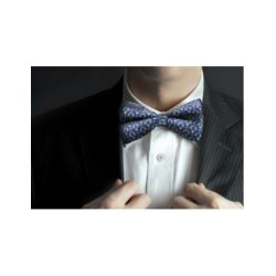 Frimurer butterfly vinkel/passer