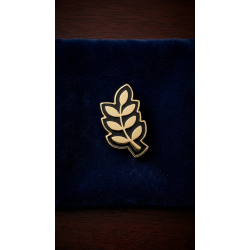 Acacie pin