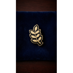 Acacie pin