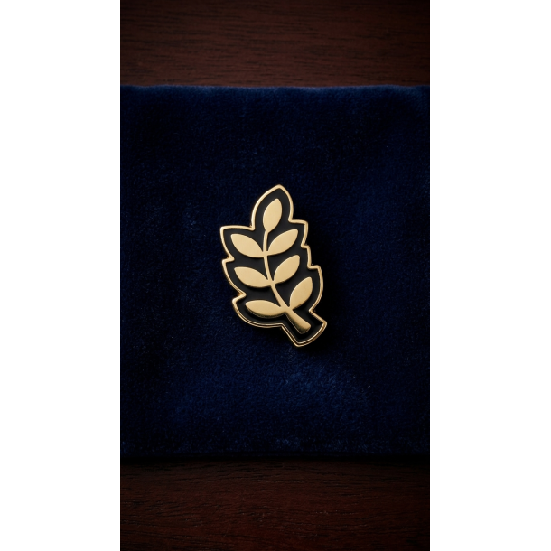 Acacie pin